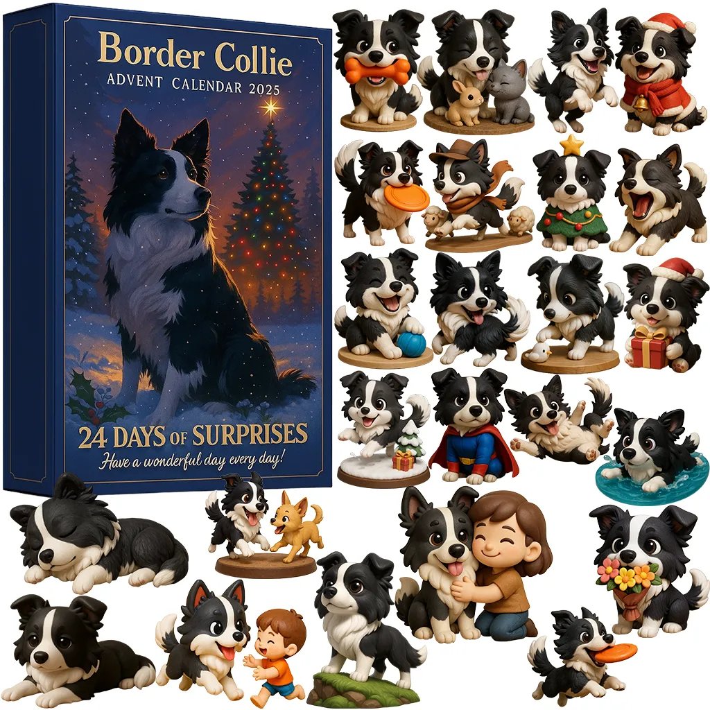 Border kolie | Adventní kalendář 2025