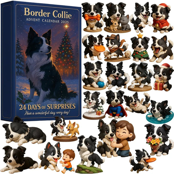 Border kolie | Adventní kalendář 2025