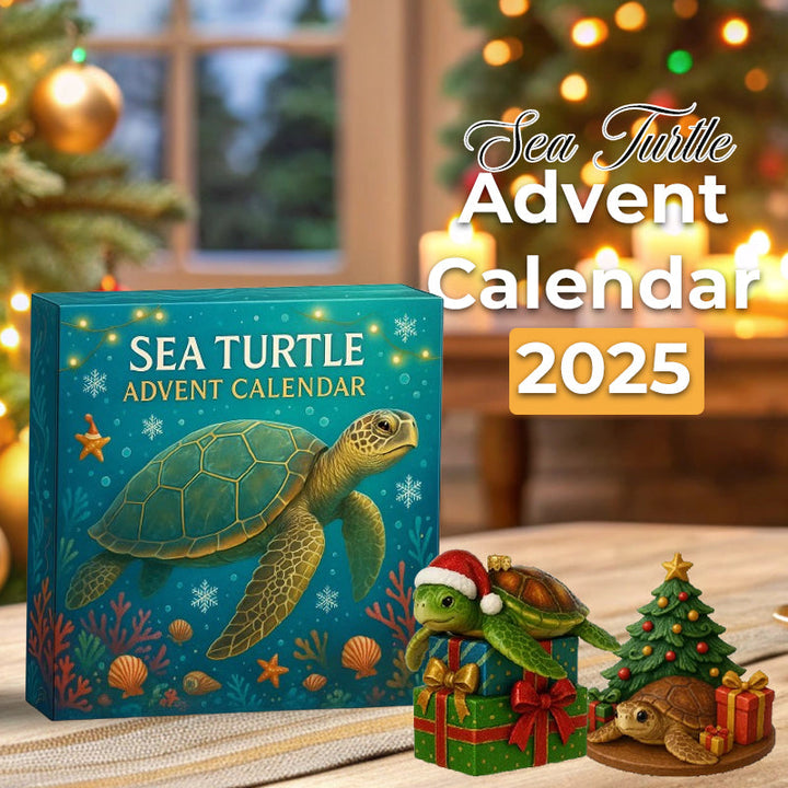 Mořská želva | Adventní kalendář 2025
